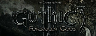 Gothic 3 Forsaken Gods: Enhanced Edition - Max Details