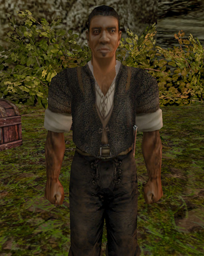 Obrázek NPC: Elvrich