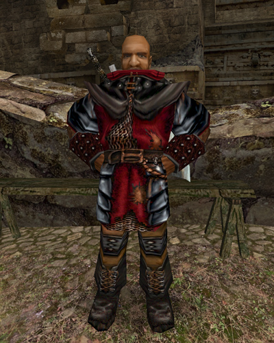 Bloodwynova zbroj