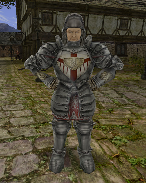 Paladinská zbroj