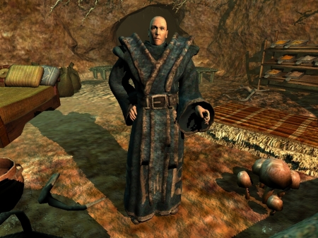 Merdarion